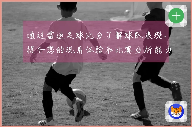 通过雷速足球比分了解球队表现，提升您的观看体验和比赛分析能力